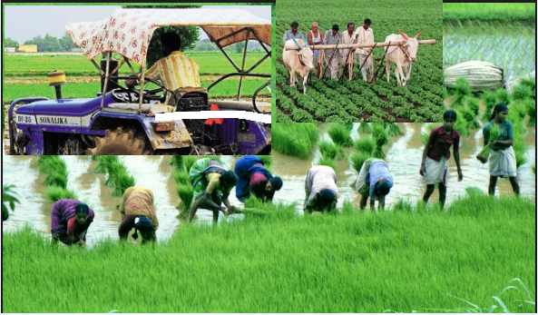 Objective Questions on Agriculture of India